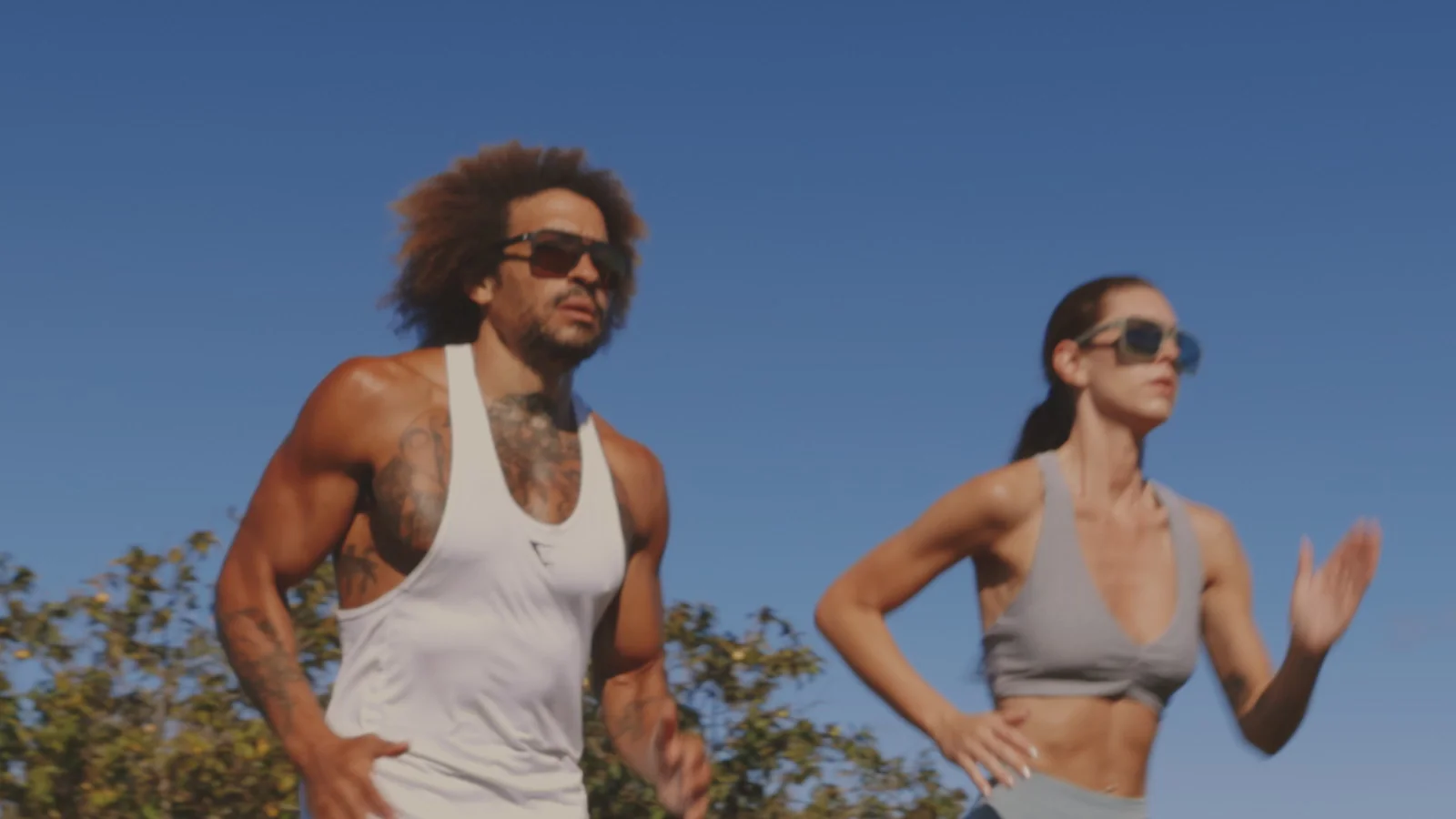 Classic Style, Polarized Performance